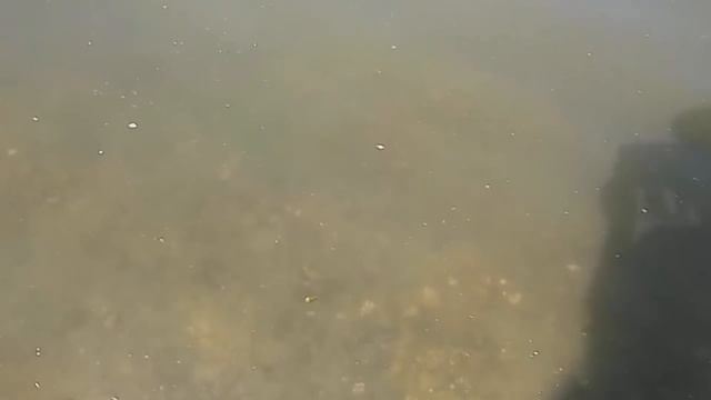 Мутный Иртыш.Muddy Irtysh.