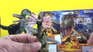 Box of JURASSIC WORLD DOMINION DINOSAURS w/ New Figures from Movie + Classic Dinosaur Toys