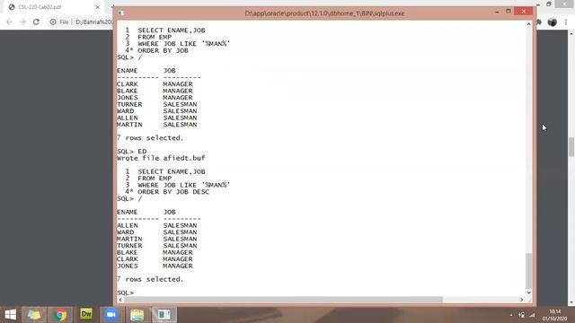 DBMS Lab 02- Querying Database Tables | Part 02 смотреть онлайн