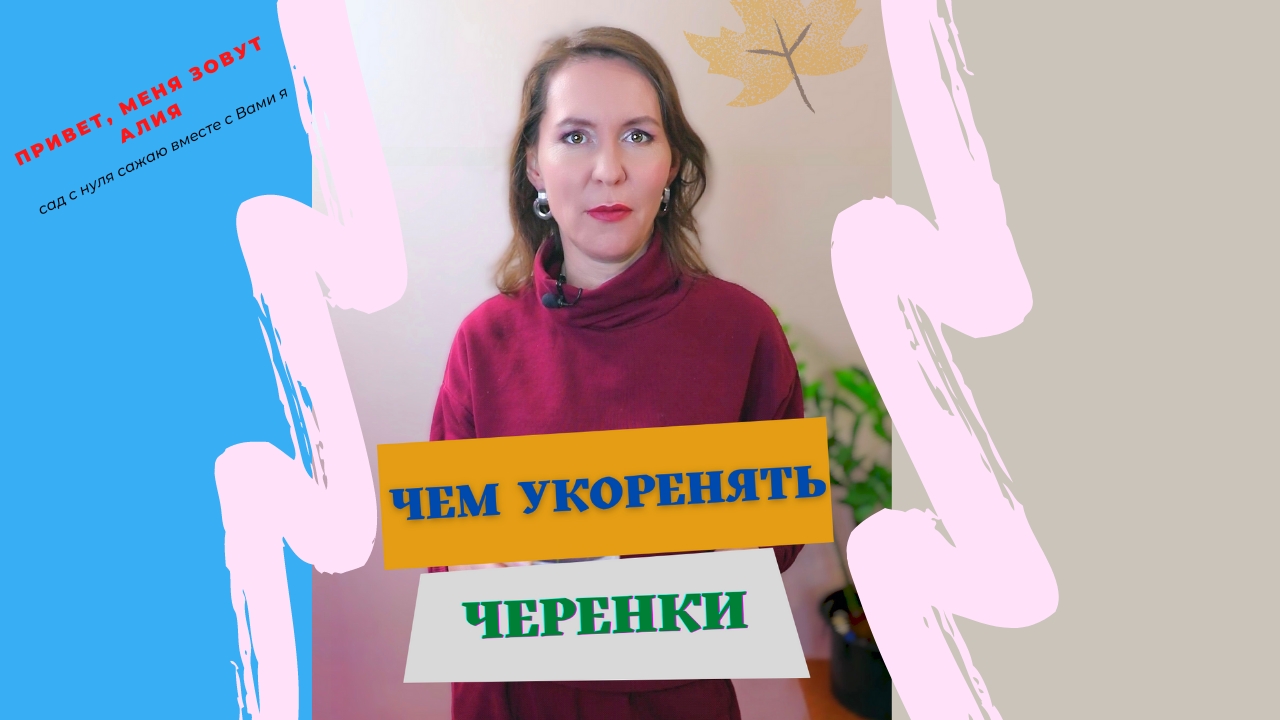 Чем укоренять черенки растений и цветов.