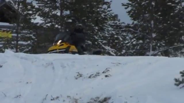 Развороты между сосенками.AVI смотреть онлайн