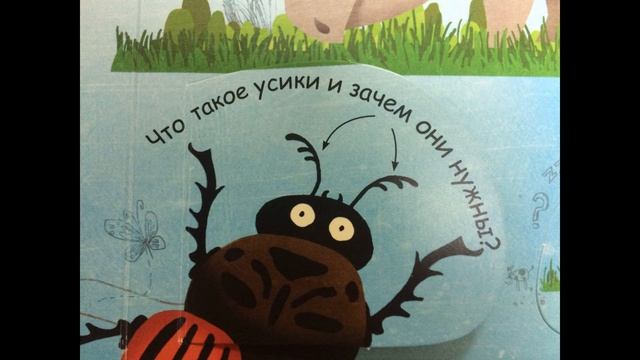 "Интересный мир животных", буктрейлер на книгу "Вопросы и Ответы о животных" (автор Кэйти Дэйнс) смотреть онлайн