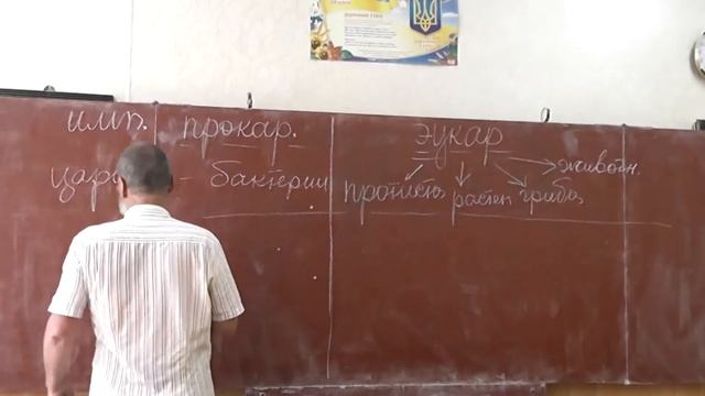 50 Империи. Прокариоты и эукариоты смотреть онлайн
