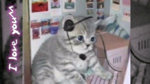 Вверх-вниз-ЛСП