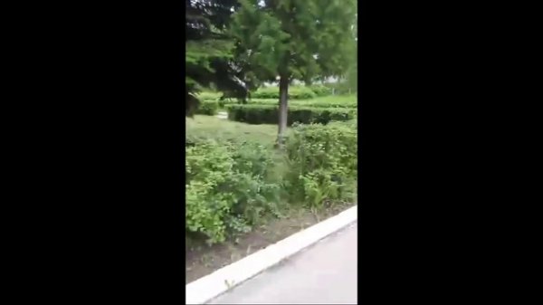 Школа, выпустившая меня в жизнь 