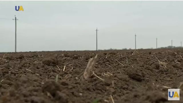 AgroMonitor: измерение твердости почвы с помощью пенетрометра смотреть онлайн