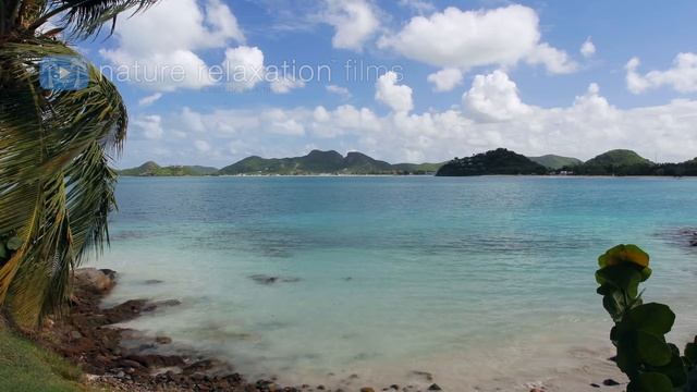 Всемирное природное наследие (День в Карибском бассейне) (2018) 4K WEBRip 2160p_v.2 смотреть онлайн