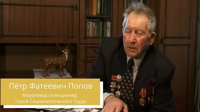 Отзыв о лечении пантами алтайского марала | Premium Maral смотреть онлайн