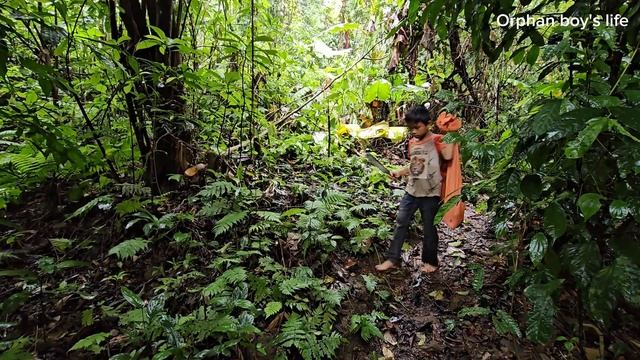 Orphan Boy - Go To The Forest To Find Stone Crabs To Sell, Buy Bread To Live On, Daily Life