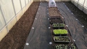 ??? Ч.2 ОБУСТРОЙСТВО ТЕПЛИЦЫ С НУЛЯ. ДОДЕЛКИ. ПЕРВЫЕ ПОСЕВЫ