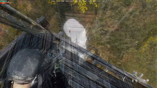ОХОТА НА МЕДВЕДЯ / ХИМЕРА♻️ DAYZ RUS 2 ♻️ ЛУЧШИЕ МОДЫ И МУТАНТЫ ♻️ смотреть онлайн