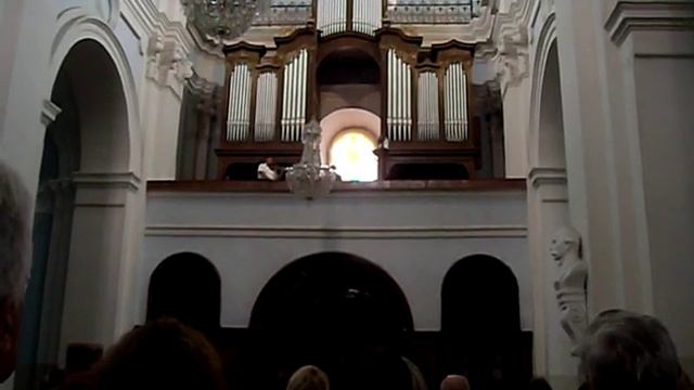 Самбір. Органий зал. Скрипка з органом. смотреть онлайн