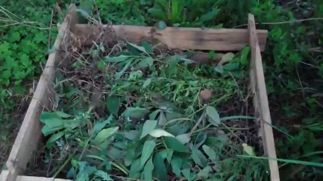 Переробка побутових відходів у компост смотреть онлайн