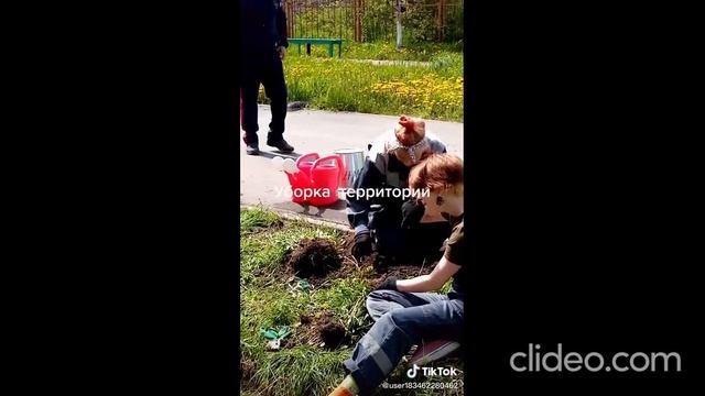 утро раннее 26.06 смотреть онлайн