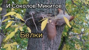 Аудиокнига "Белки" И.Соколов-Микитов.