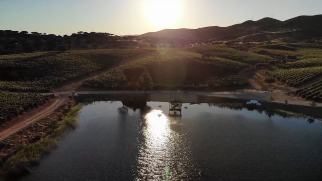 Путешествие по США 🇺🇸. смотреть онлайн