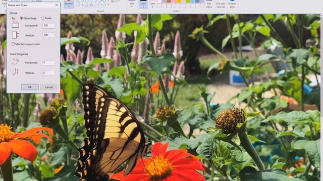 How to put HD Pictures on the TI-84 Plus CE (Tutorial) смотреть онлайн