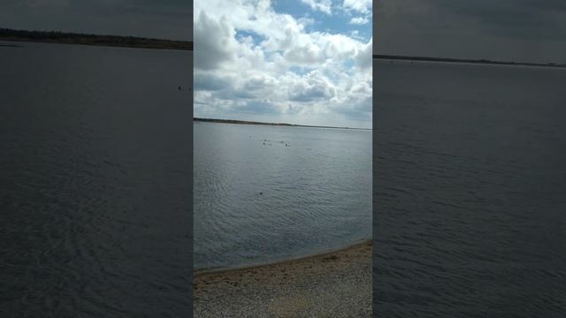 Сакское лечебное озеро?? смотреть онлайн