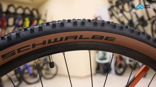 Обзор CUBE Acid 29 (2021)