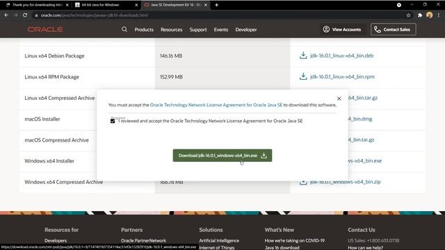 How to setup java in JetBrains with JDK and JRE in hindi смотреть онлайн