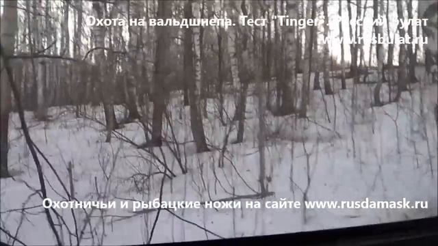 Отзыв о снегоболотоходе Tinger. Охота на вальдшнепа. Вездеход Tinger смотреть онлайн
