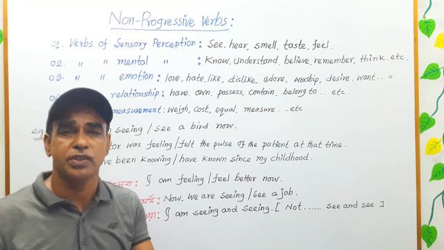 Non-progressive/Non-Continuous Verbs/State verb/stative verb: যে সব Verb এর Continuous Tense হয় না। смотреть онлайн