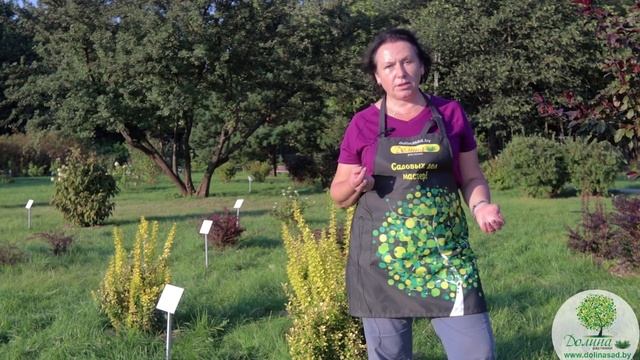 Лайфхаки для Домашнего Уюта