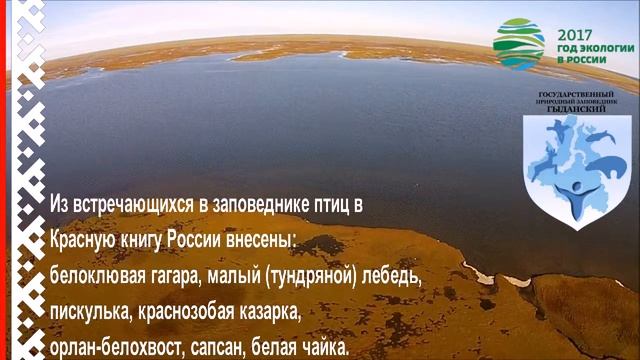 Гыданский заповедник сегодня смотреть онлайн
