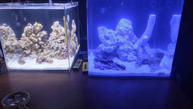 Морской аквариум .Шаг второй - засол , декор и первые нелегалы. смотреть онлайн