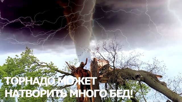 ВЕТЕР-ДРУГ ИЛИ ВРАГ? смотреть онлайн