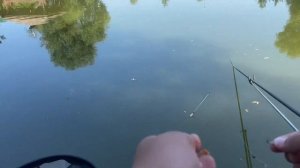 Ловля карпа на херабуну.