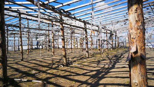 Накрыли плёнкой наши огромные теплицы смотреть онлайн