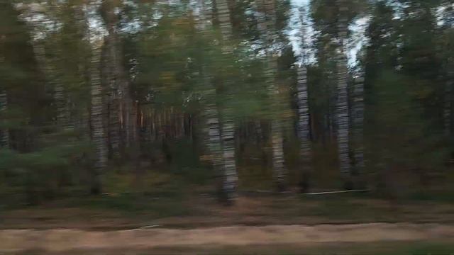 Проезд поездом 004 от Бреста до Барановичей. Таймлапс смотреть онлайн