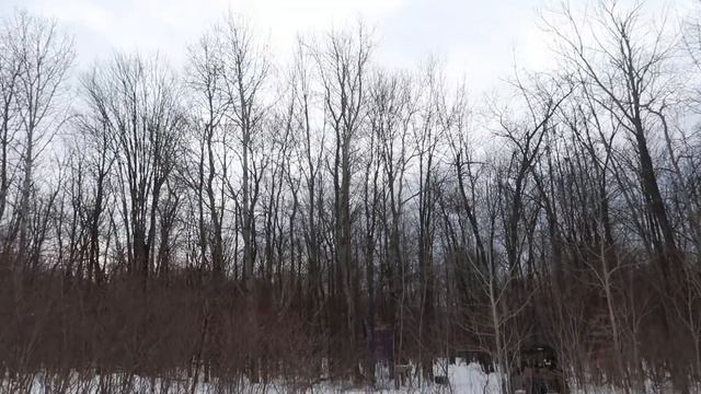 Solar-Powered Hobby Vacuum System for Maple Sap - Maple Syrup Season 2019 смотреть онлайн
