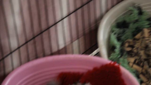 Ребята, повеселимся смотреть онлайн