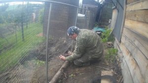 Забор из оцинкованной сварной сетки