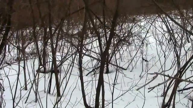 Как оторваться от дивана и пойти в поход ? смотреть онлайн