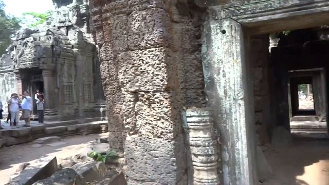 The jungle ruins of Ta Prohm, Cambodia смотреть онлайн