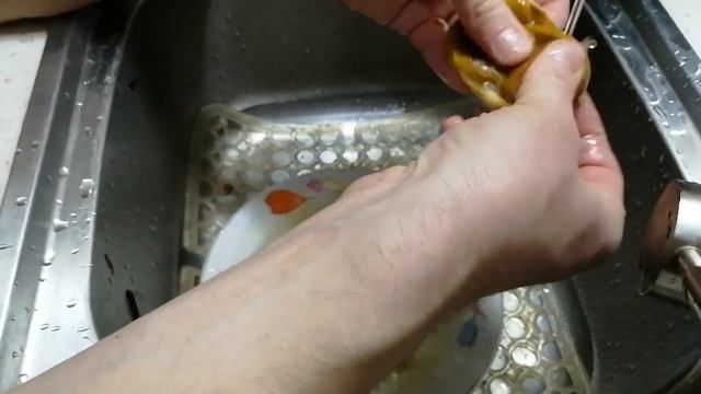 446 Желудок курицы. Мечта вегетарианца #Телотест