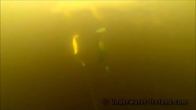 Атака щук на substandard оснастку. смотреть онлайн