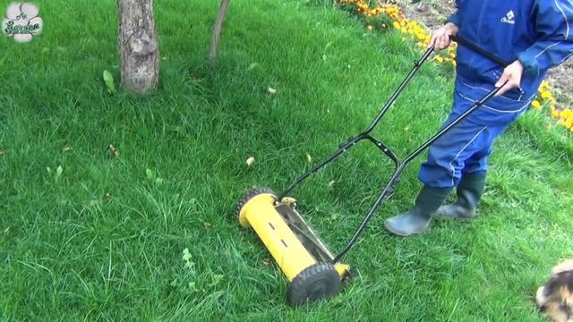 Механическая газонокосилка Champion MM4026.