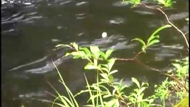 Ловля хариуса чем попало, чёрт знает где смотреть онлайн