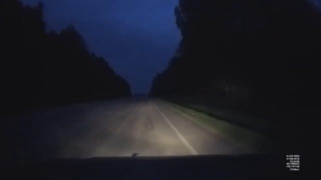 Лось за Октябрьским (на дороге Ярославль-Рыбинск) смотреть онлайн