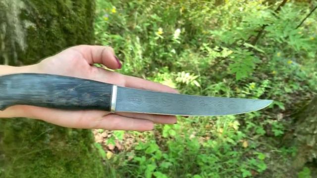 Филейный большой. Кузница Овсова. смотреть онлайн