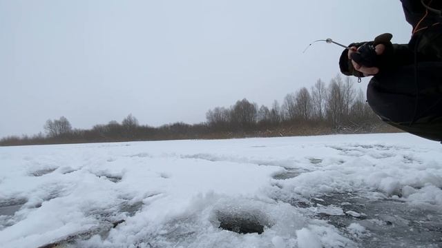 Зимняя рыбалка 2022 на мотыля. Вытянул сеть смотреть онлайн