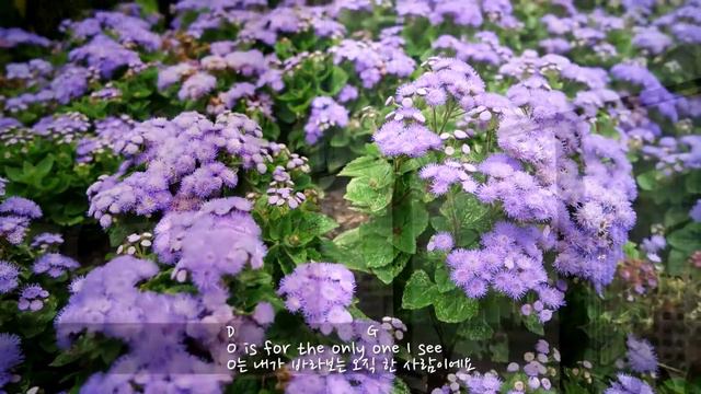 [CHORDS][LYRICS]★[L-O-V-E by Nat King Cole] cover by DayLia смотреть онлайн