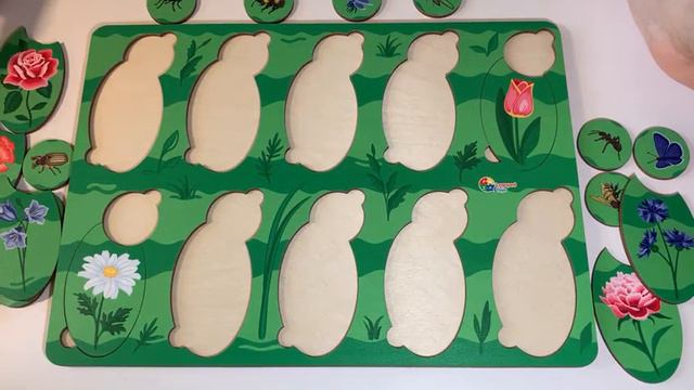 Вариант игры с пособием Цветы и насекомые 2 смотреть онлайн