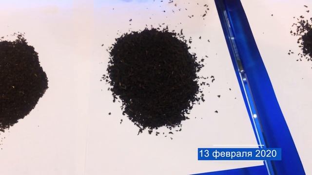 163 13 февраля 2020 Тот самый чай #продэкспо2020 #tea #чай #чайсослоном #экспоцентр смотреть онлайн