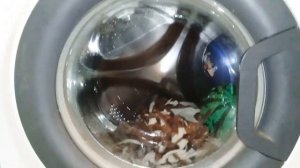 Стирка в стиральной машине Hotpoint Ariston