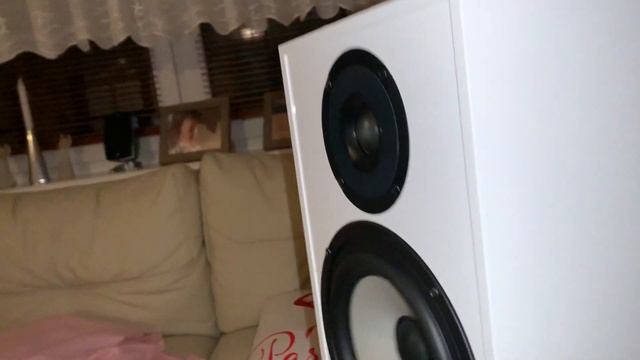 Pylon Audio Pearl 25 MKII смотреть онлайн